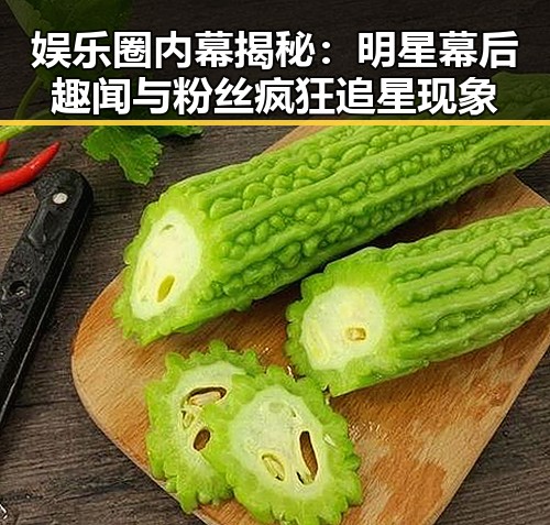 娱乐圈内幕揭秘：明星幕后趣闻与粉丝疯狂追星现象