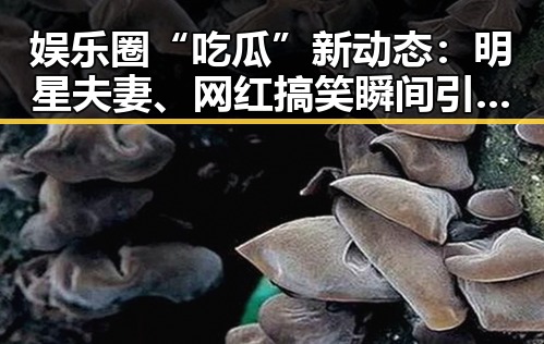 娱乐圈“吃瓜”新动态：明星夫妻、网红搞笑瞬间引热议